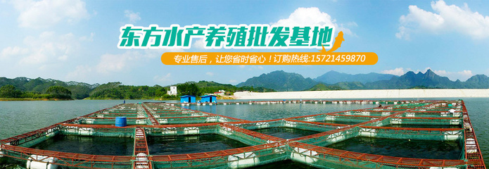 上海鳊魚批發基地 東方水產專業可靠的選擇