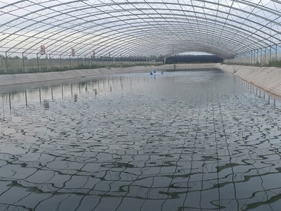 水產(chǎn)養(yǎng)殖的搖籃 選擇適合你的開始之路