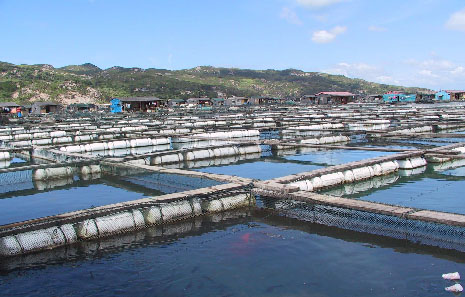 7. 海洋功能區(qū)環(huán)境狀況